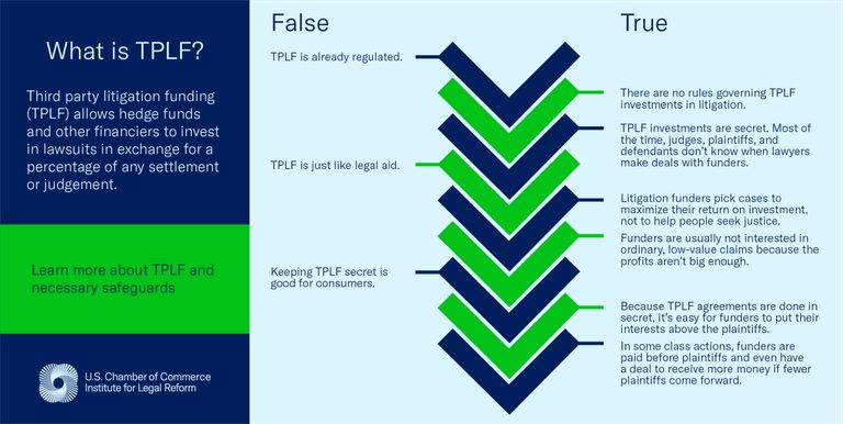 Infographic: What is third party litigation funding, true or false